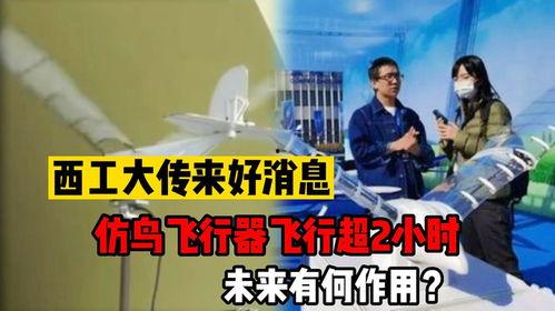 飞行器最新爆料消息,最新飞行器技术突破与未来展望